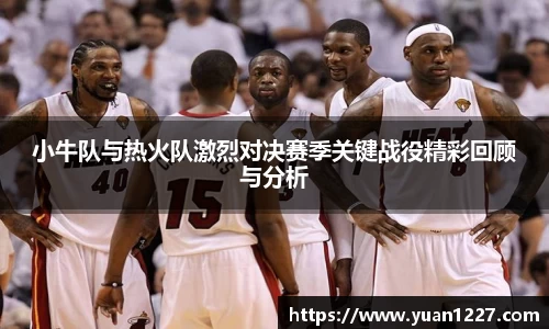 小牛队与热火队激烈对决赛季关键战役精彩回顾与分析